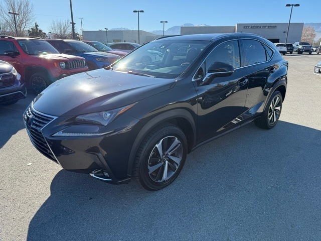 2018 Lexus NX 300's photo
