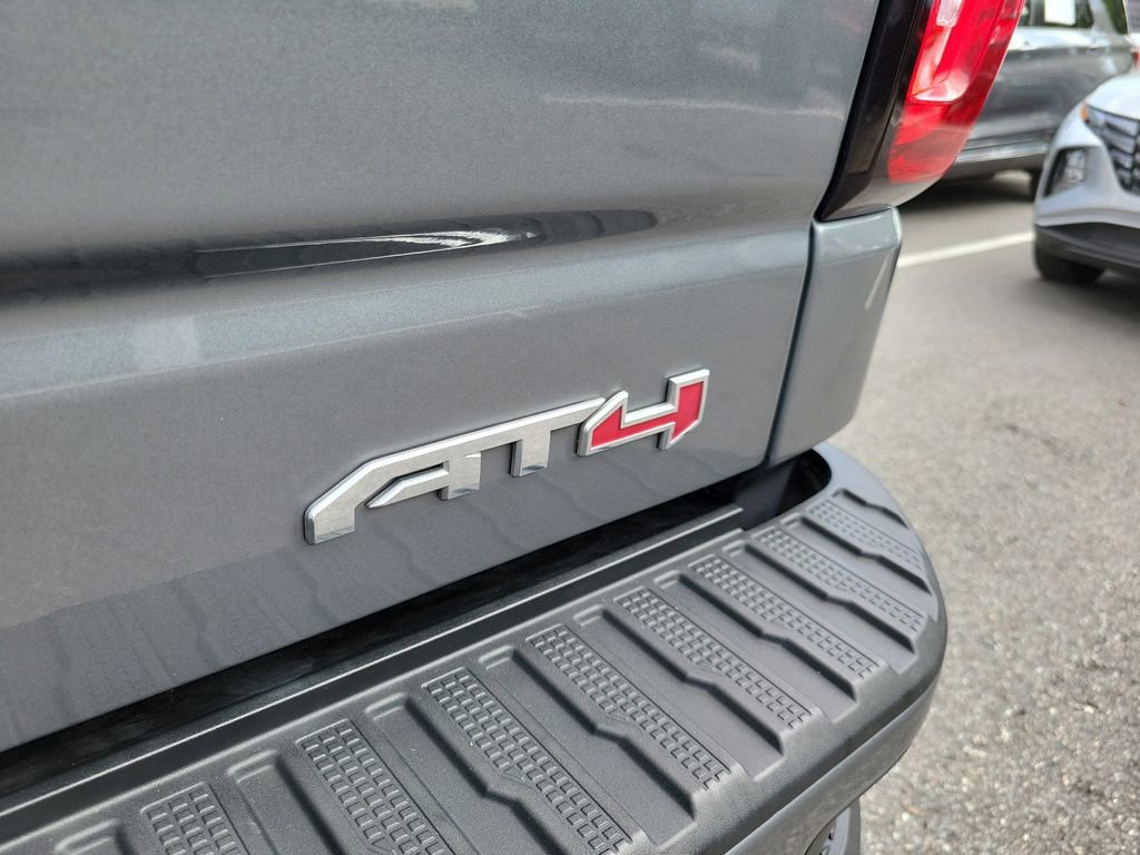 2020 GMC Sierra 1500 AT4 - Photo 10