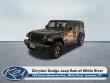 Used 2021 Jeep Wrangler Unlimited Rubicon SUV