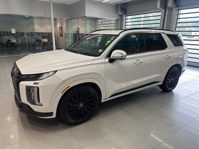 2024 Hyundai Palisade Calligraphy photo 2