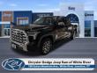 Used 2022 Toyota Tundra 1794 Truck