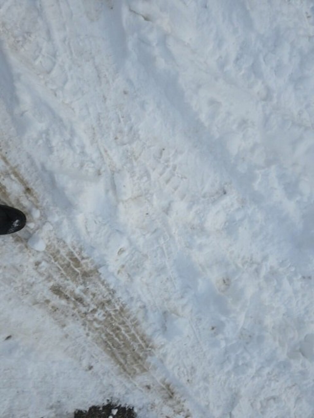 New 2026 GMC Terrain AT4 SUV