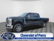 Used 2024 Ford Super Duty F-250 SRW XL TRUCK