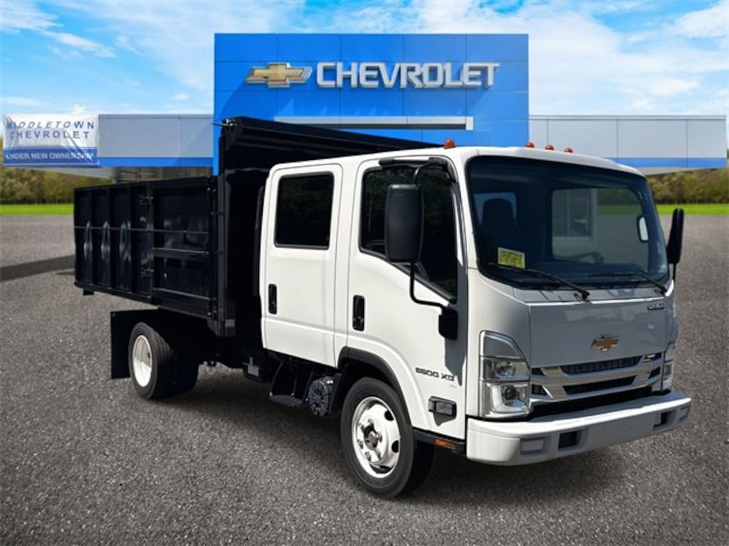 New 2024 Chevrolet Low Cab Forward 5500 XG Medium ASH Gray Truck