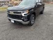 Used 2023 Chevrolet Silverado 1500 LT (2FL) Truck