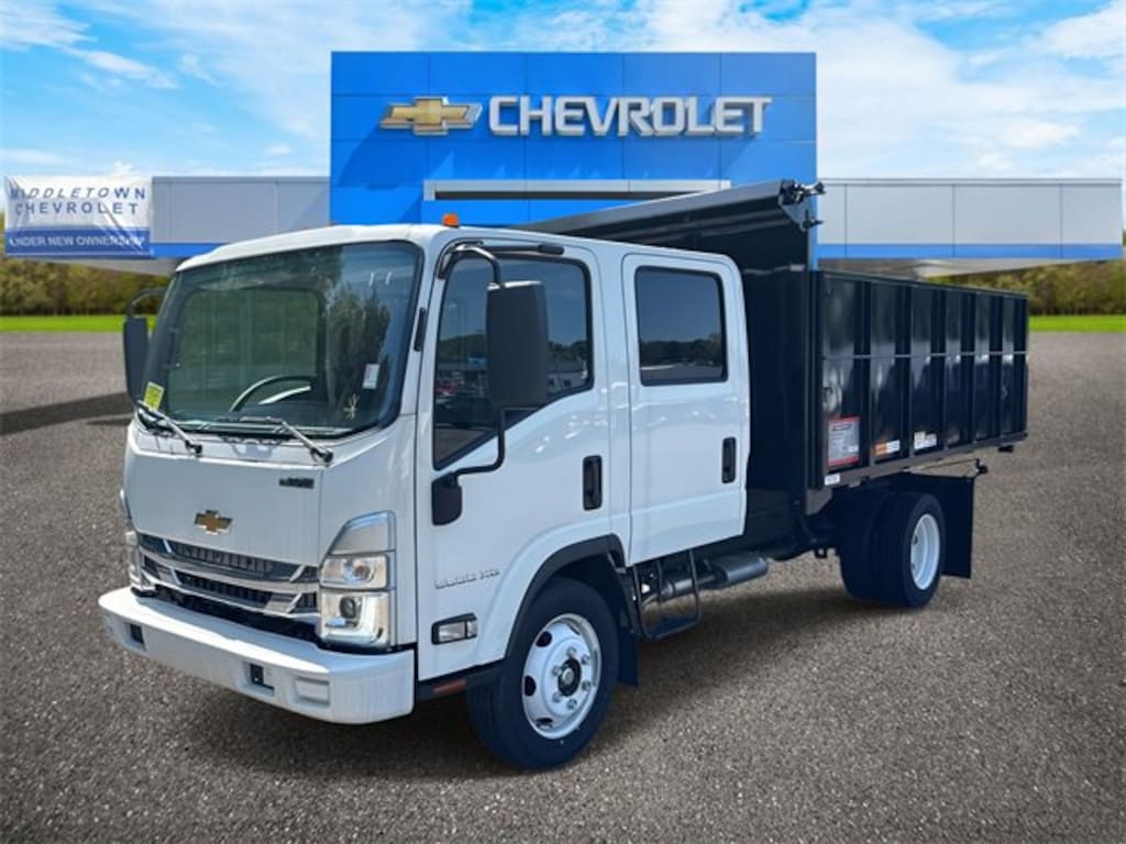 New 2024 Chevrolet Low Cab Forward 5500 XG Medium ASH Gray Truck