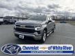 Used 2024 Chevrolet Silverado 1500 LT (2FL) Truck