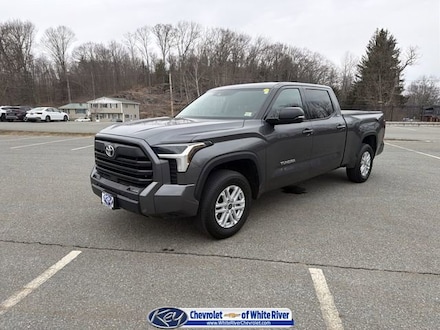 2023 Toyota Tundra SR5 Truck