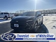  Chevrolet Equinox EV