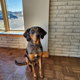 Staff member TEX from fe63132e50be