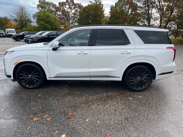 2024 Hyundai Palisade Calligraphy photo 2