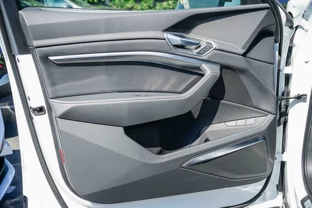 Thumbnail: 2024 Audi Q8 e-tron - 19