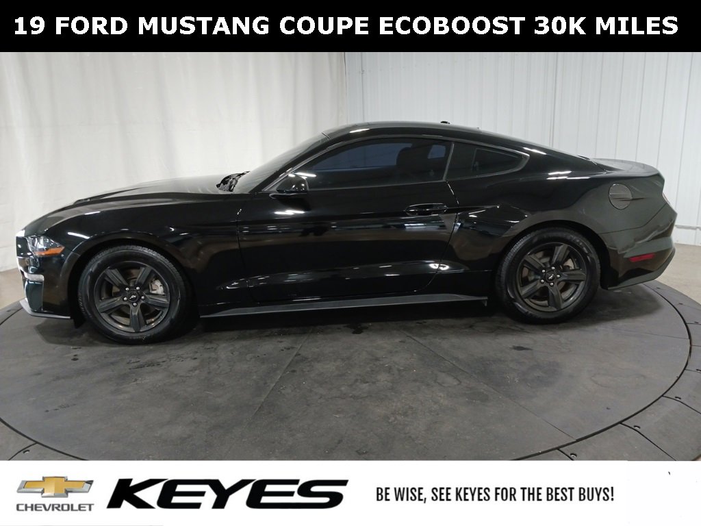 Used 2019 Ford Mustang EcoBoost with VIN 1FA6P8TH3K5115273 for sale in Menomonie, WI