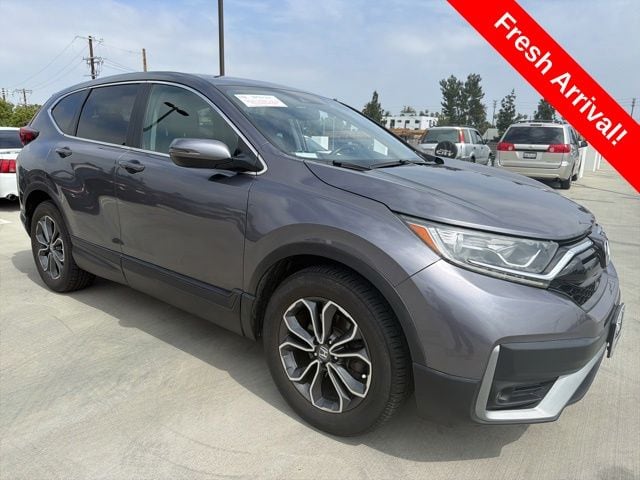 2020 Honda CR-V EX-L 2WD's photo