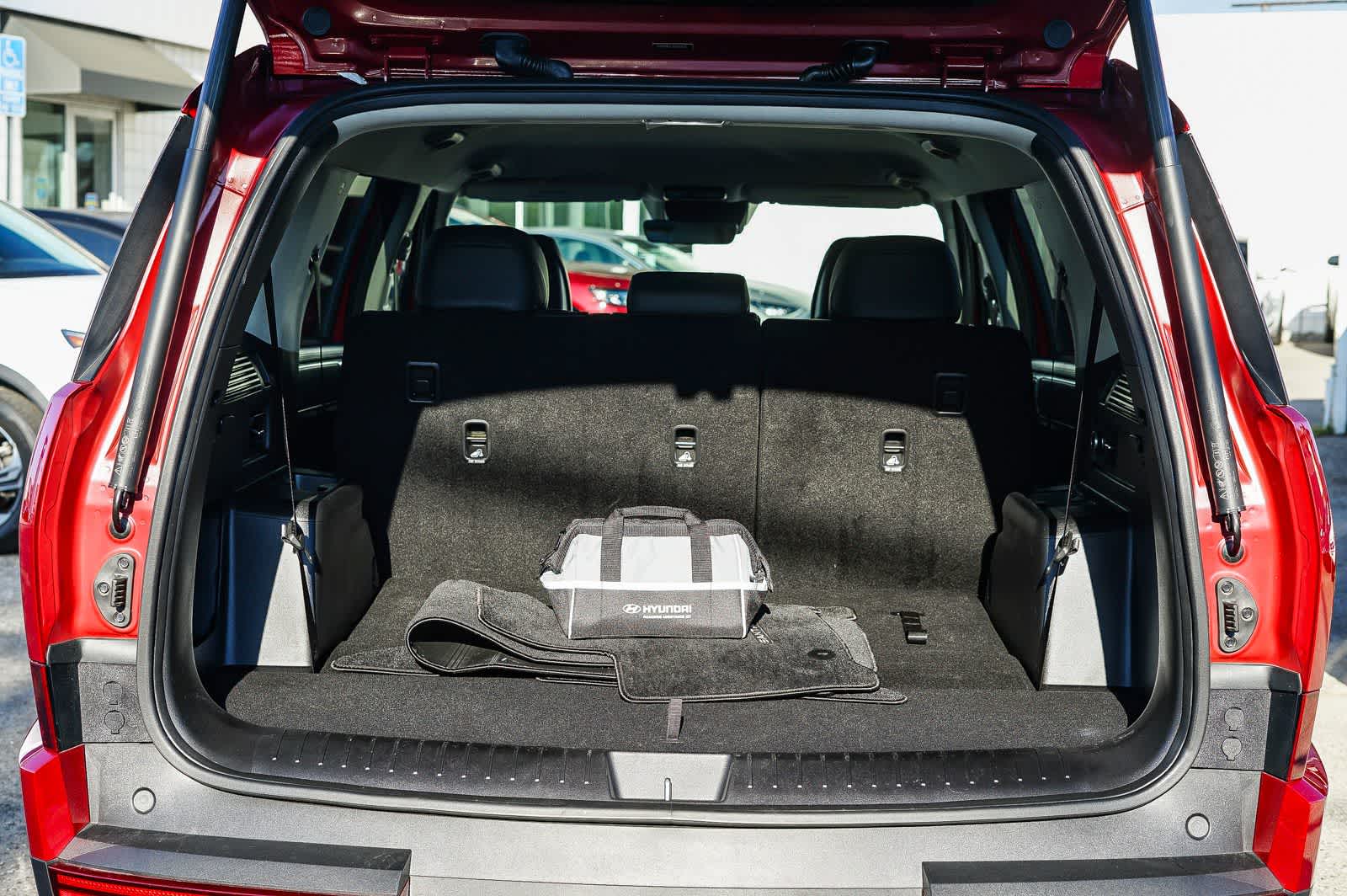 Thumbnail: 2025 Hyundai Santa Fe - 28