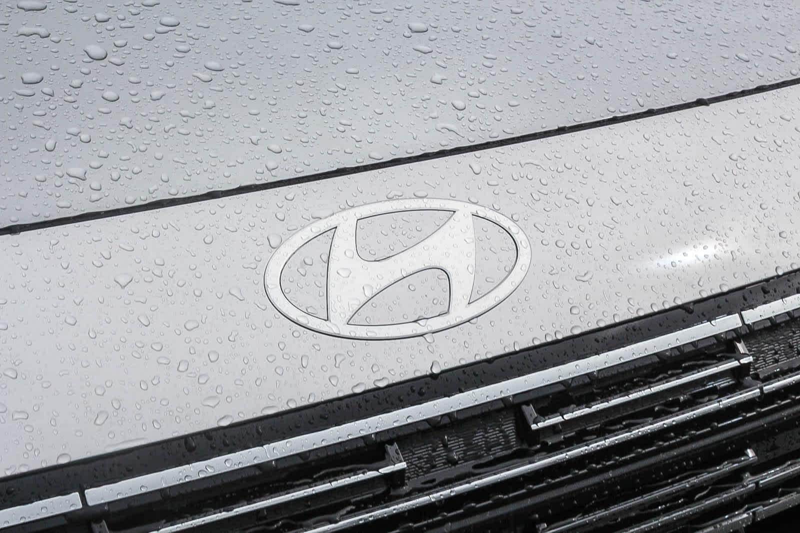 2026 Hyundai Palisade SEL - Photo 12