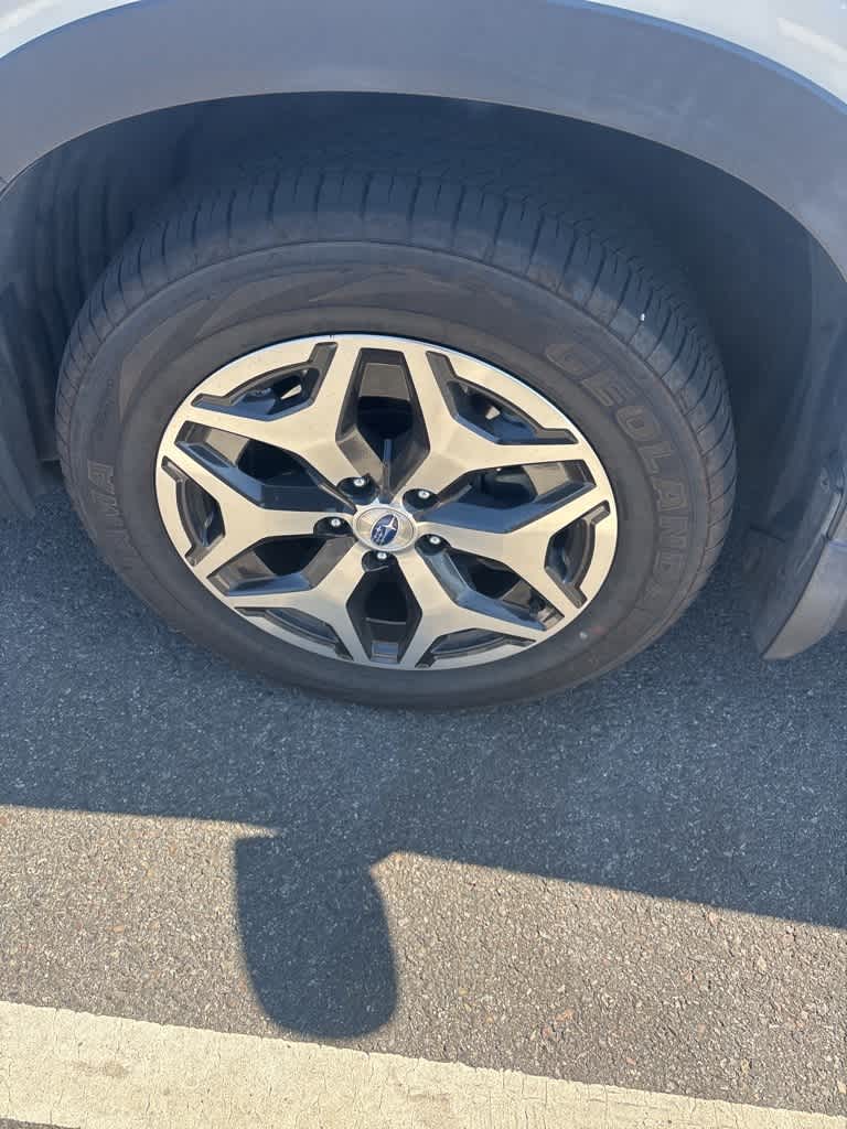 Thumbnail: 2019 Subaru Forester - 9