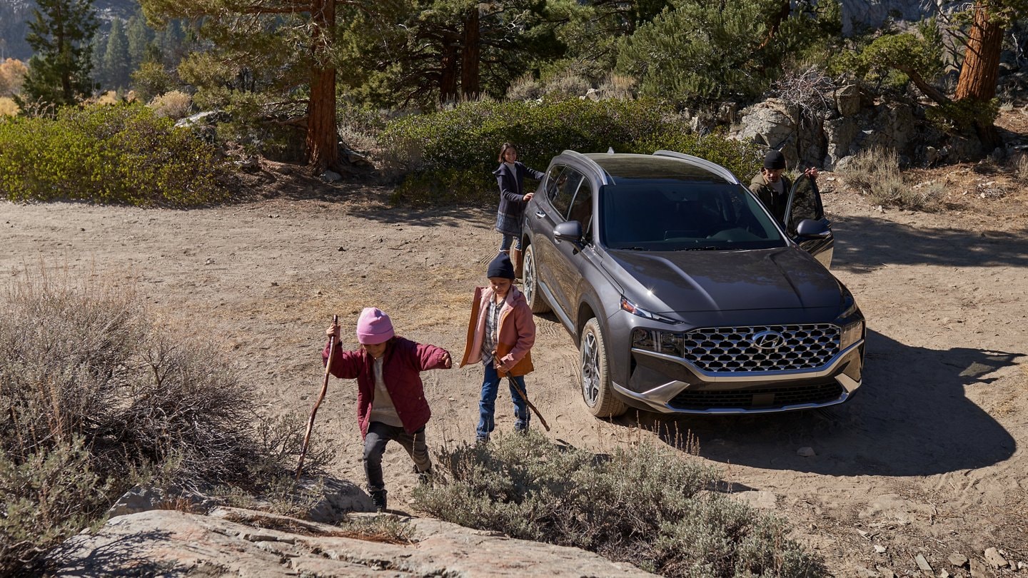 hyundai santa fe hybrid 22.png