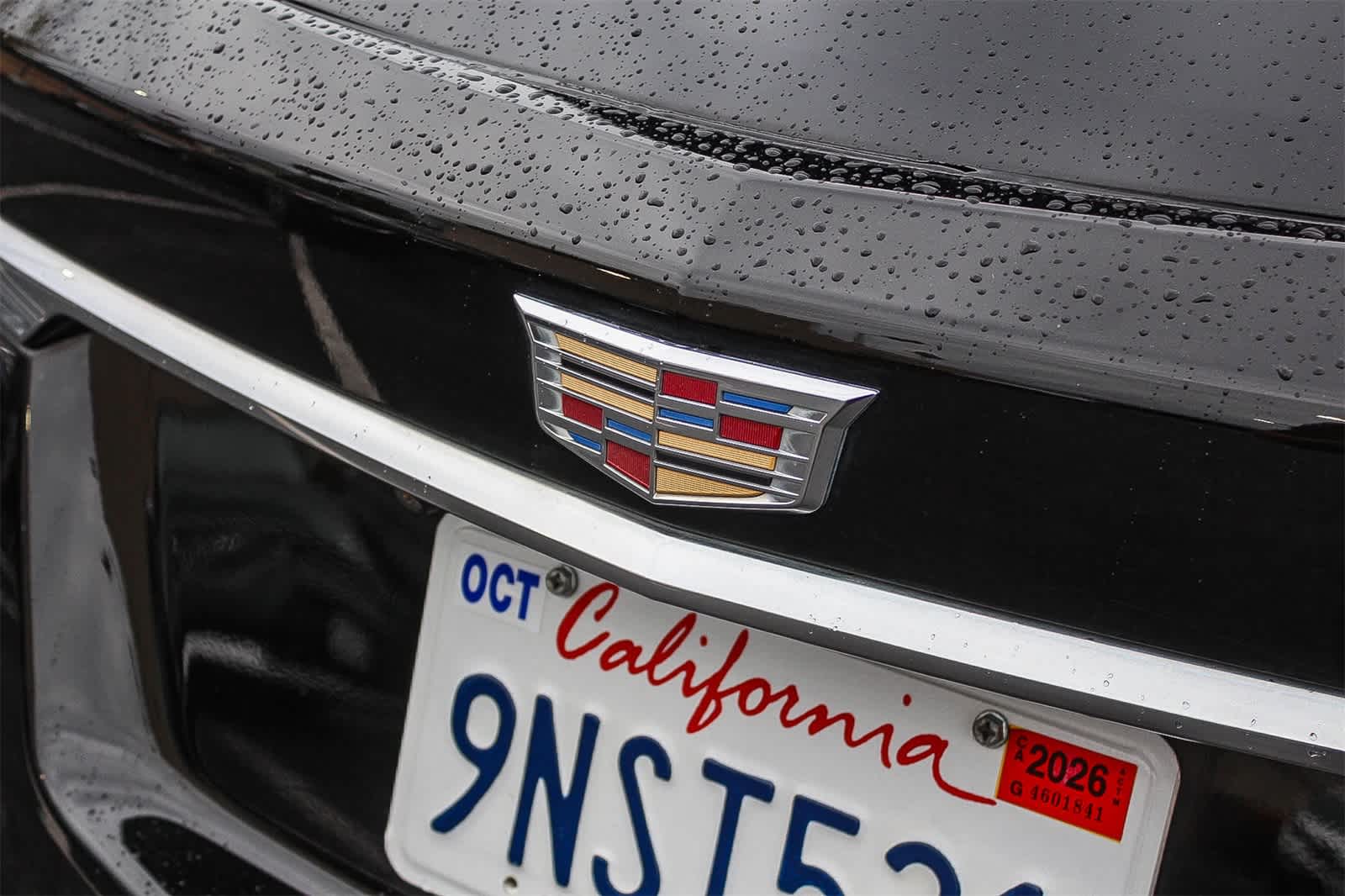 Thumbnail: 2019 Cadillac XT5 - 12