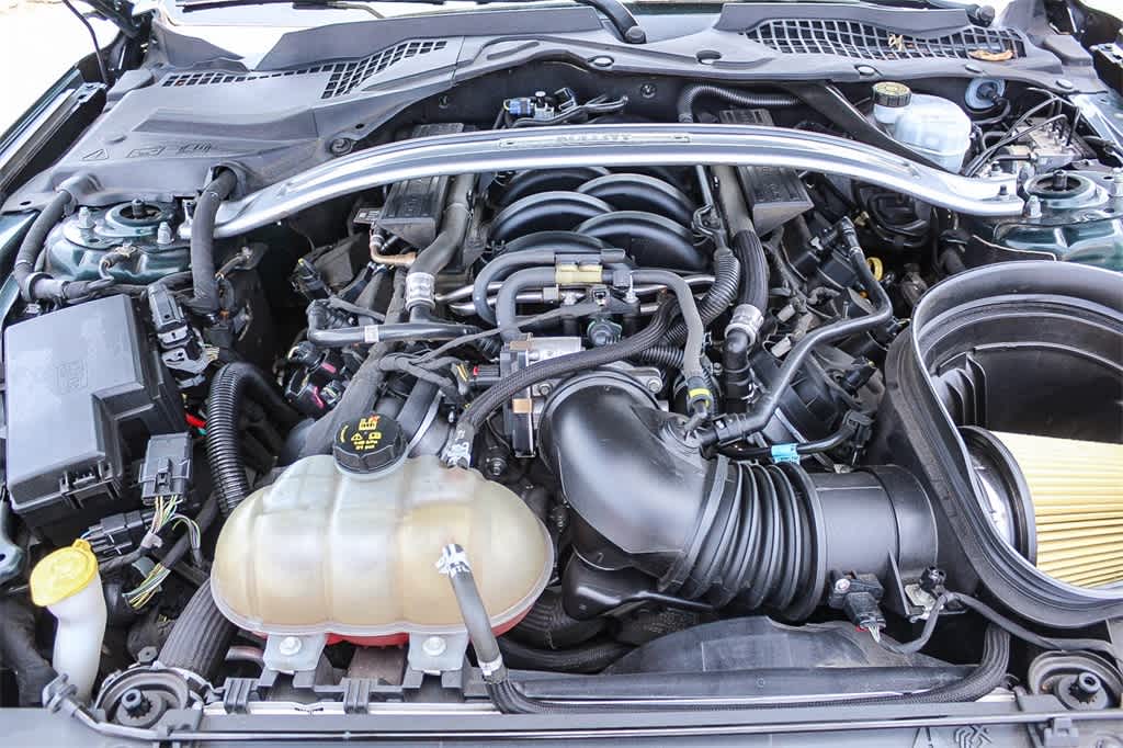 2019 Ford Mustang Bullitt 24
