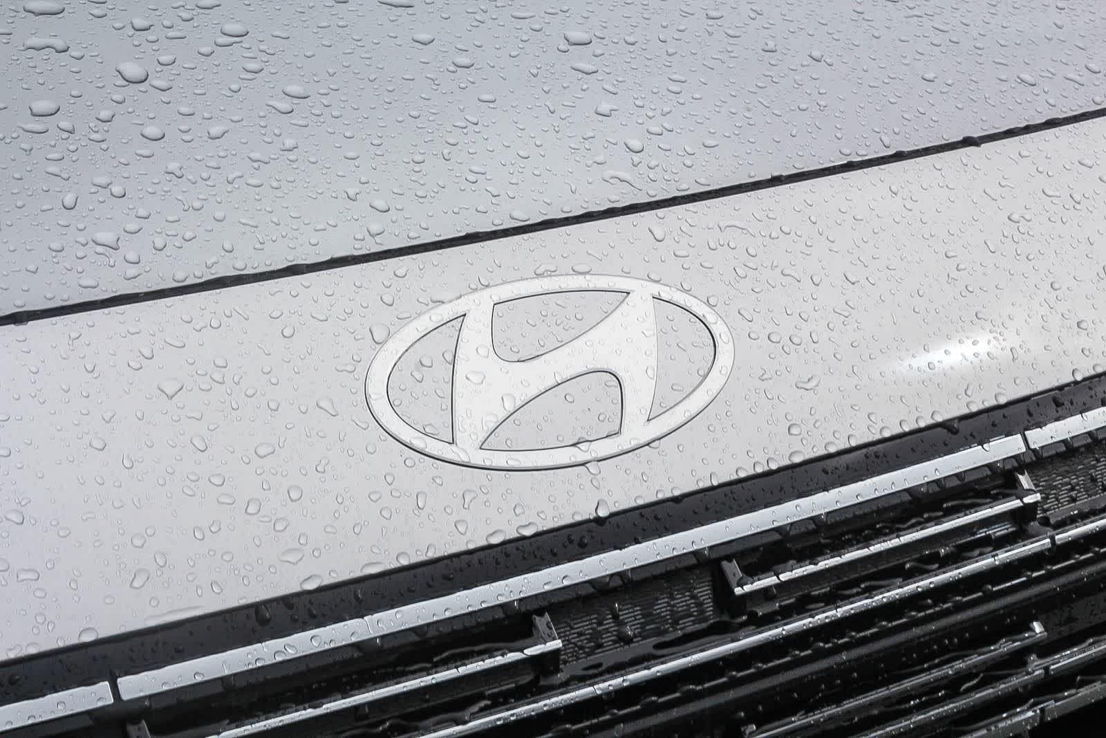 2026 Hyundai Palisade SEL - Photo 13
