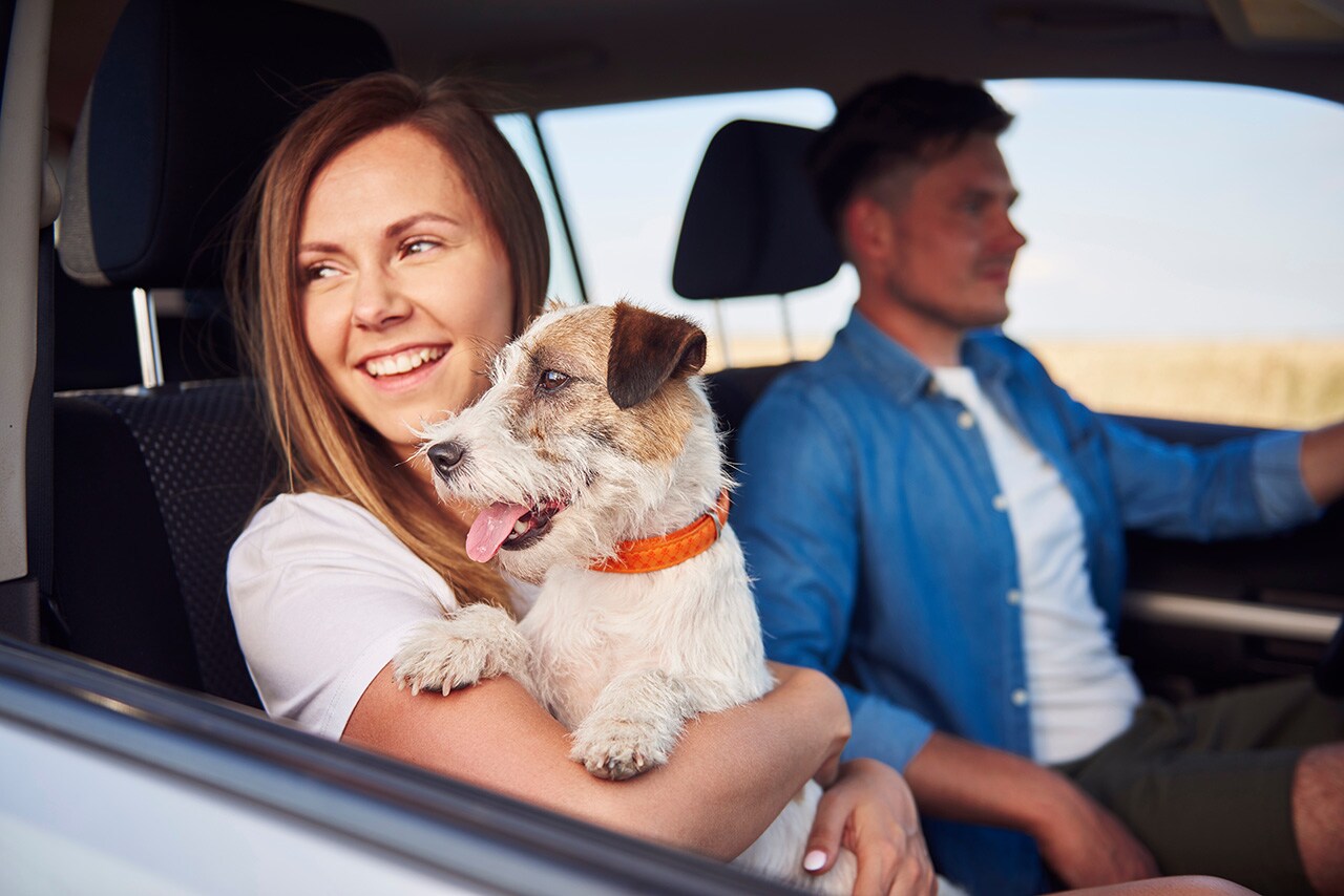 Couple with Dog in Car.jpg