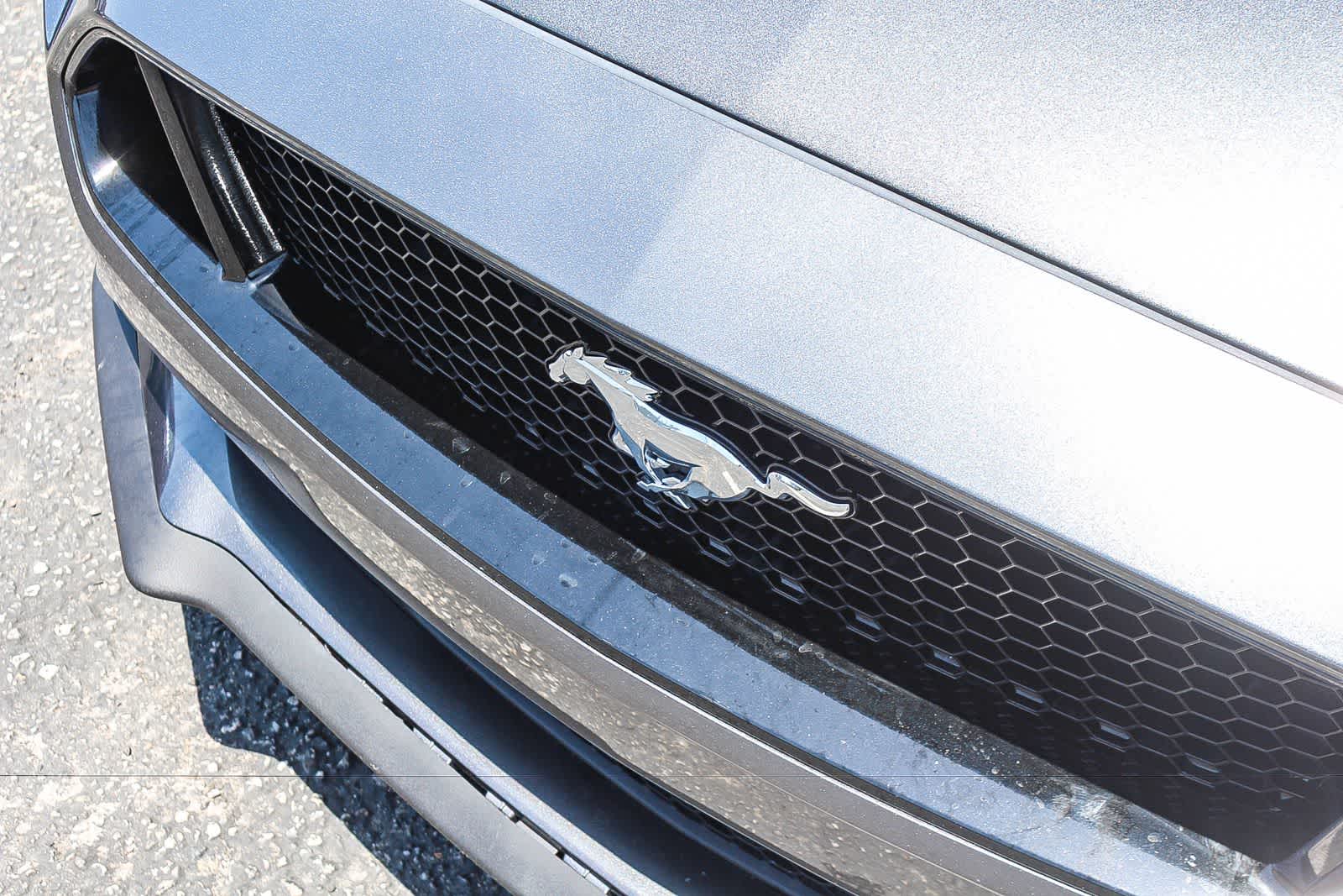 Thumbnail: 2019 Ford Mustang - 13