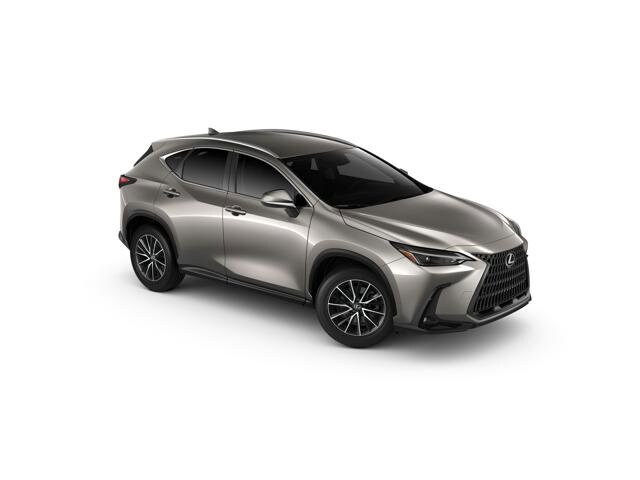 2025 Lexus NX 350h photo 4