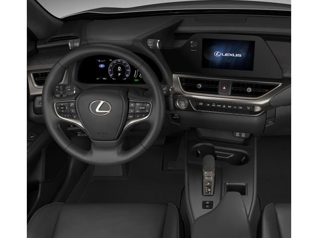2025 Lexus UX 300h 11