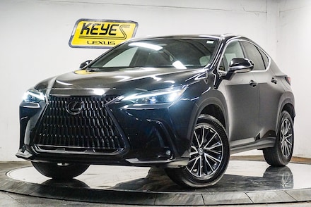 2025 LEXUS NX NX 250 SUV