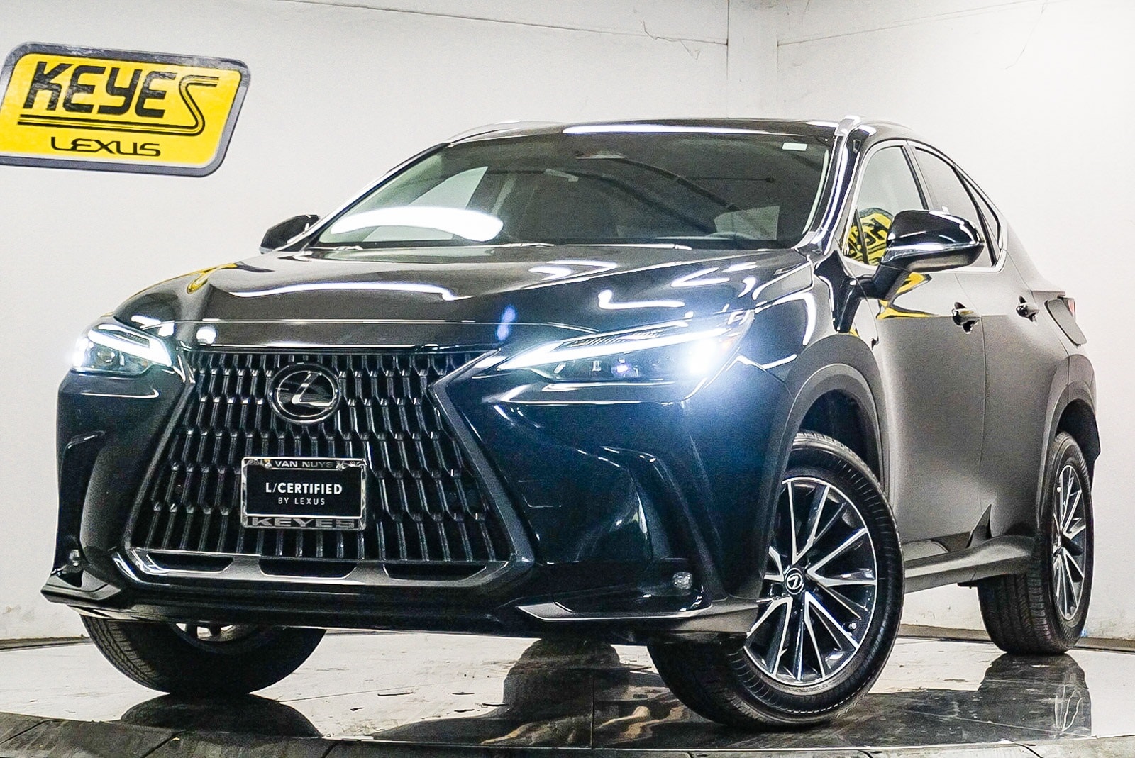 2025 Lexus NX 250 PREMIUM