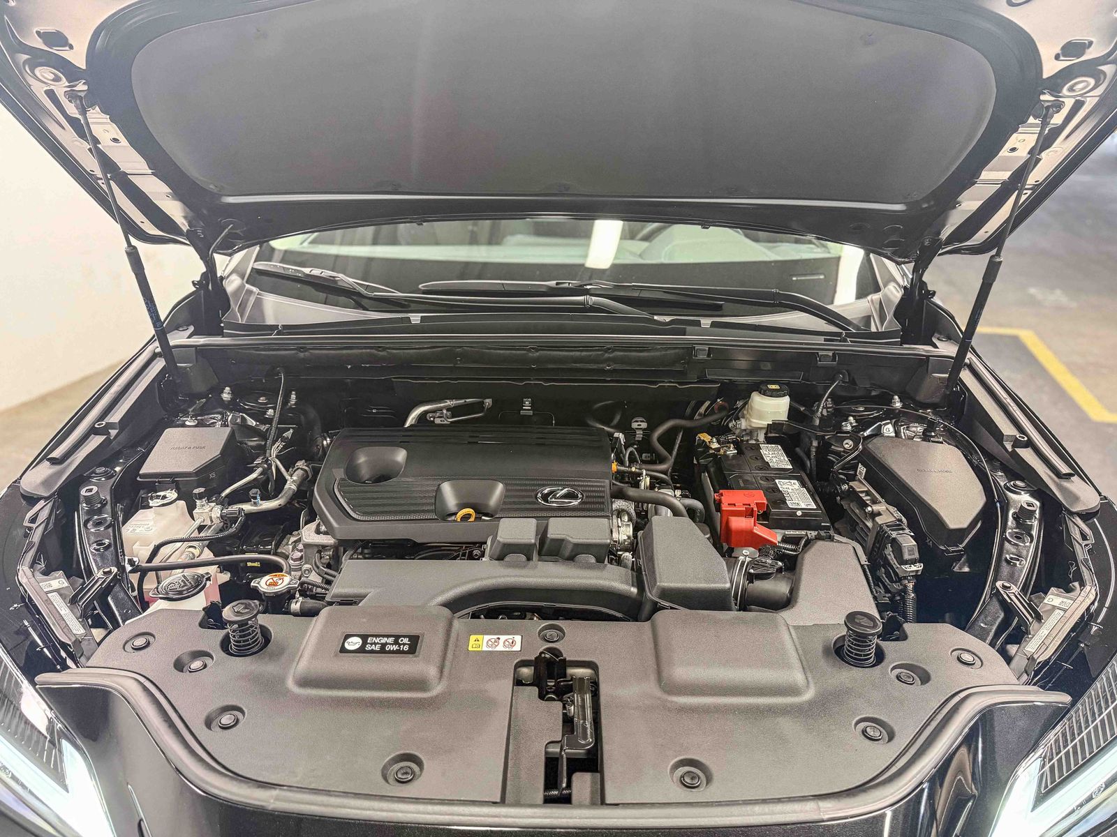 Thumbnail: 2025 Lexus NX - 28