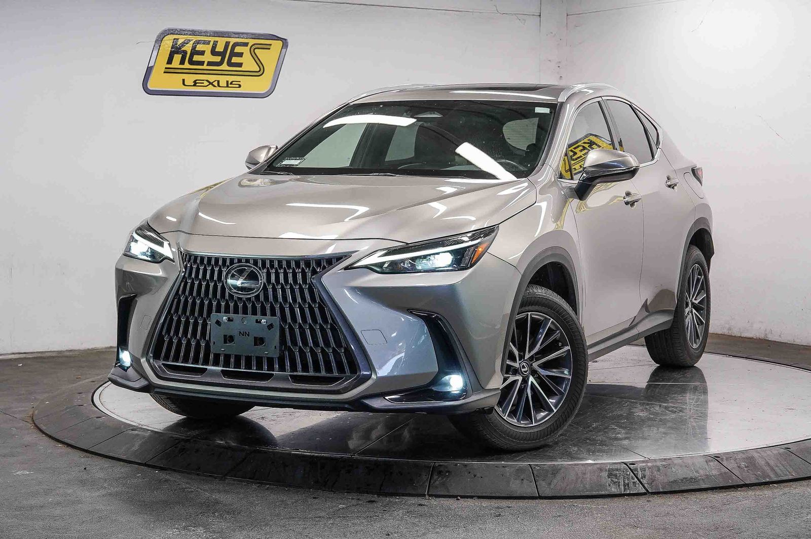 2024 Lexus NX 350h 350h AWD's photo