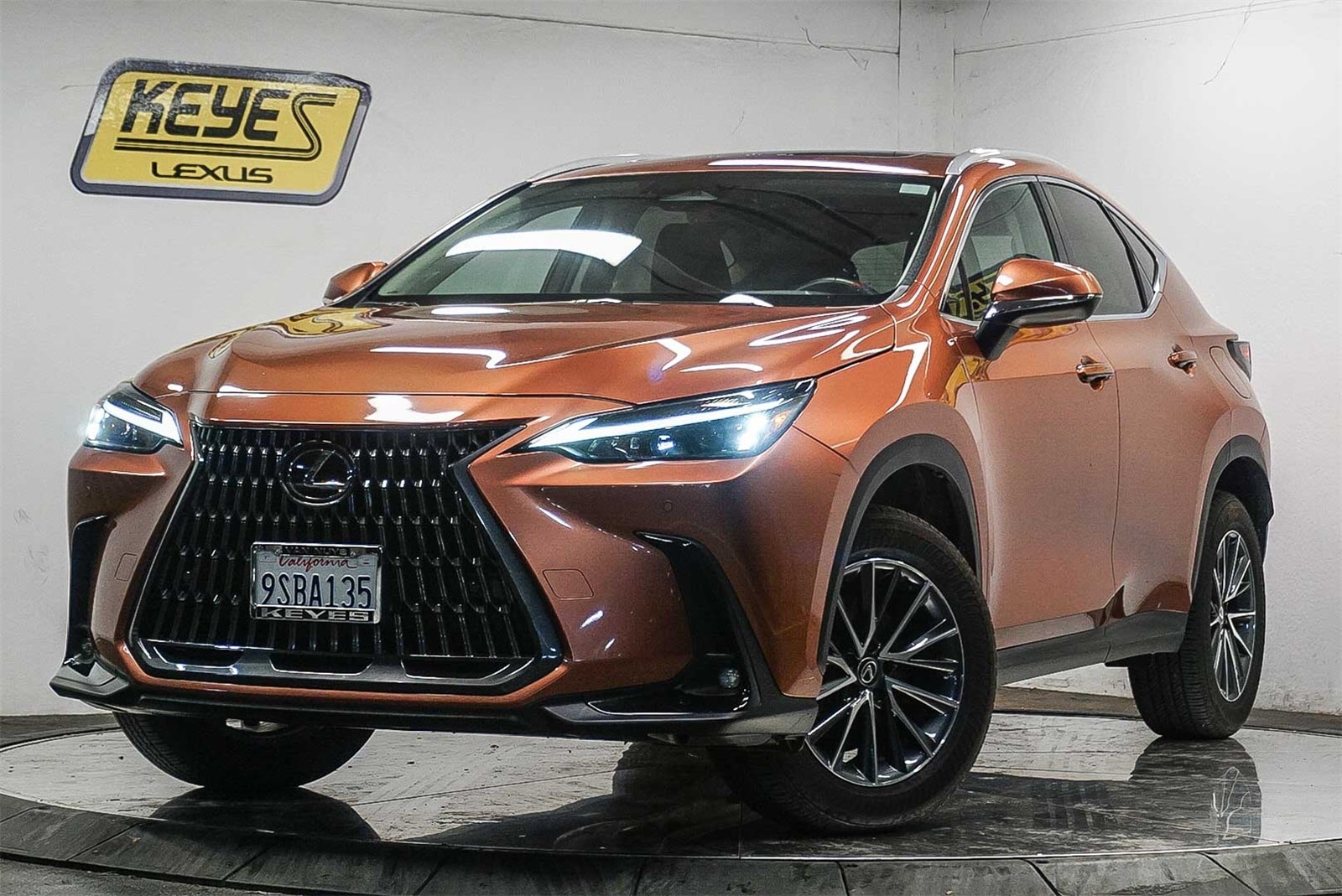 2025 Lexus NX 250's photo