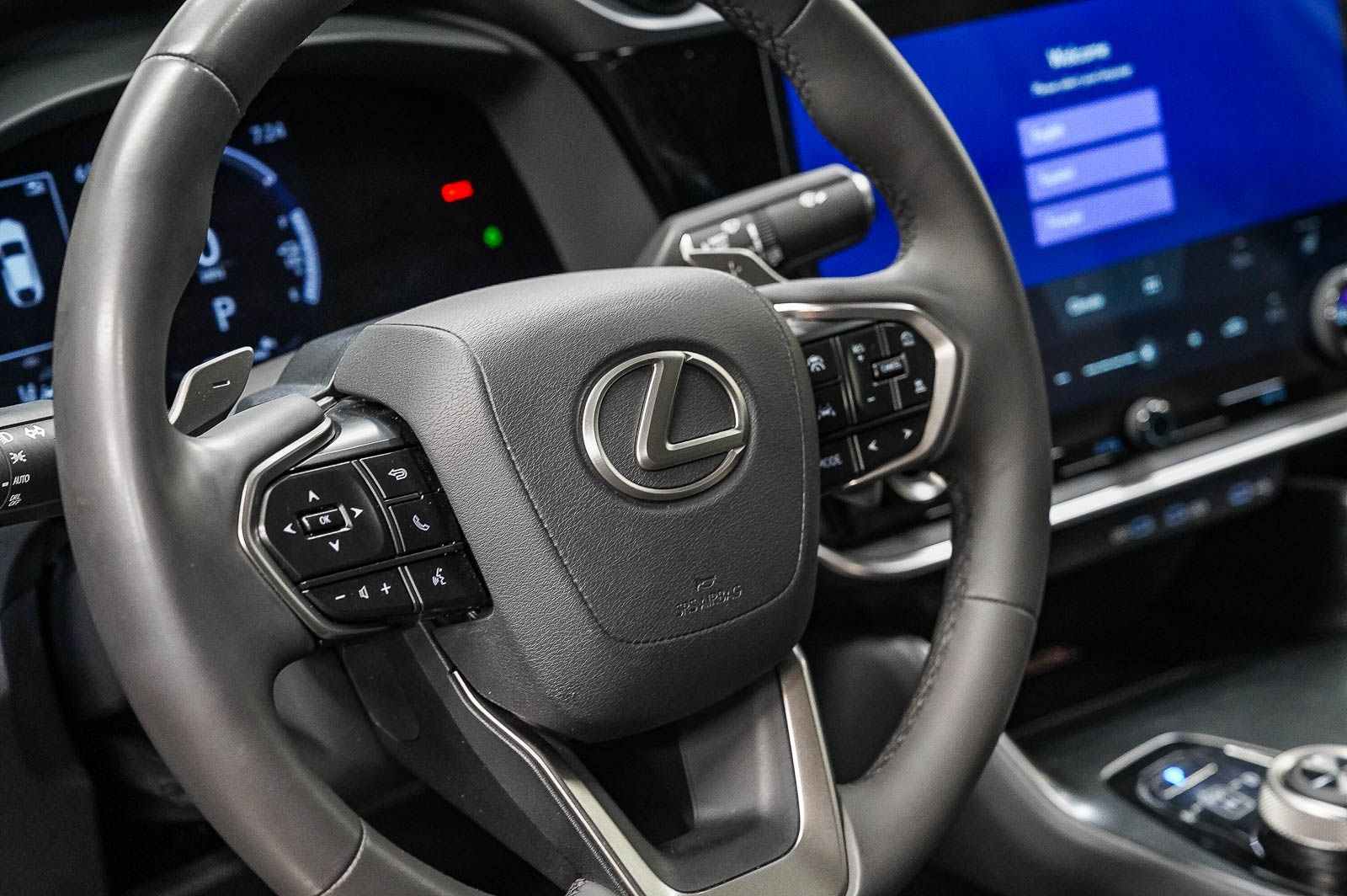 Thumbnail: 2025 Lexus RZ - 20
