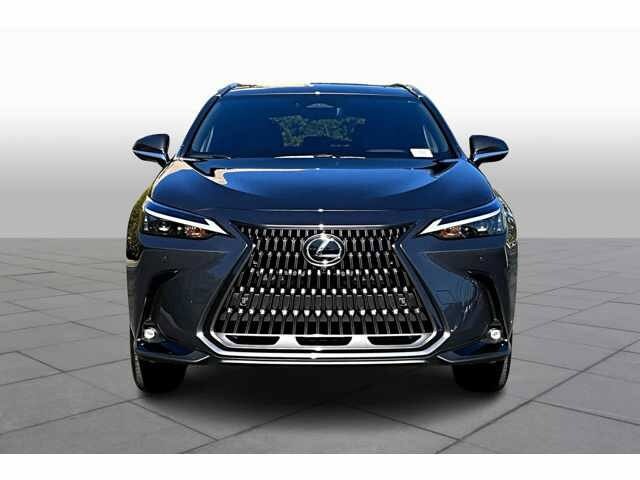 2025 Lexus NX 350h Premium photo 3