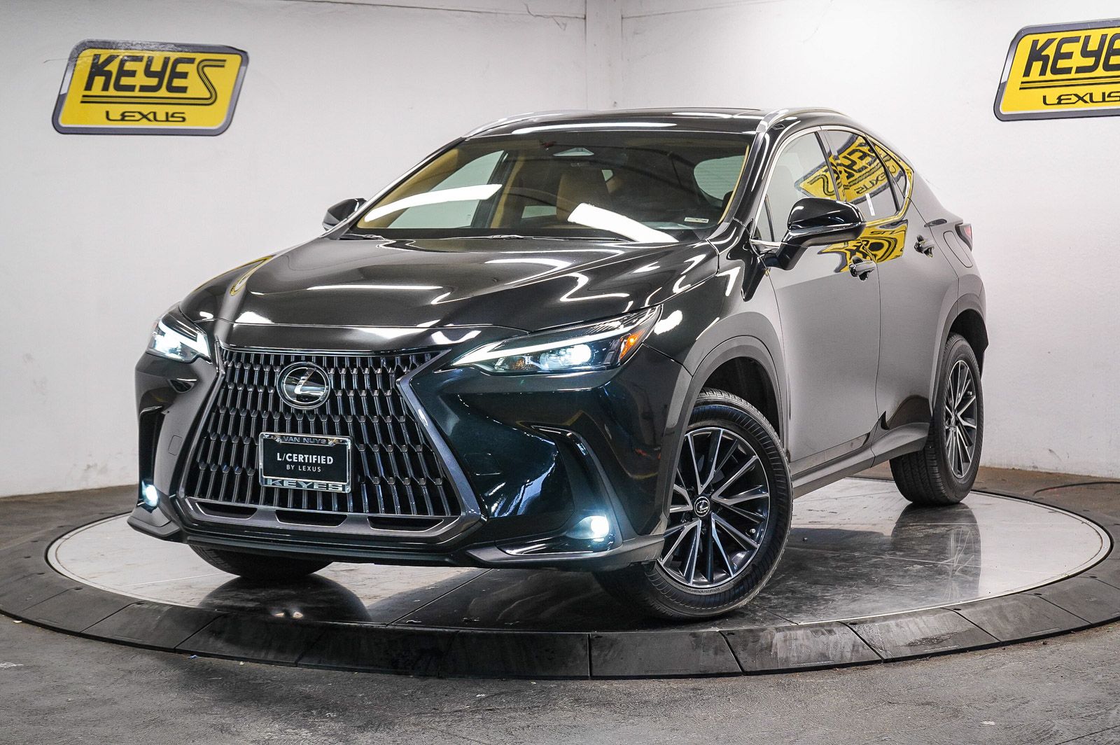 2024 Lexus NX 350 350 AWD's photo