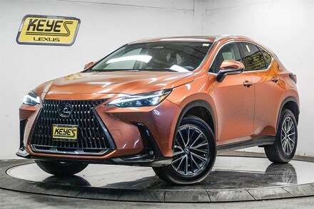 2025 LEXUS NX NX 250 Premium SUV