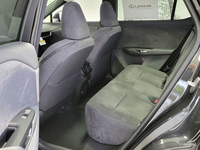 2025 Lexus RZ 450e 300e Luxury photo 4