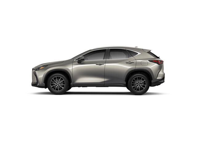 2025 Lexus NX 350h photo 2