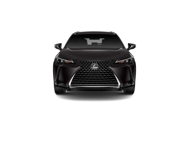 2025 Lexus UX 300h 5