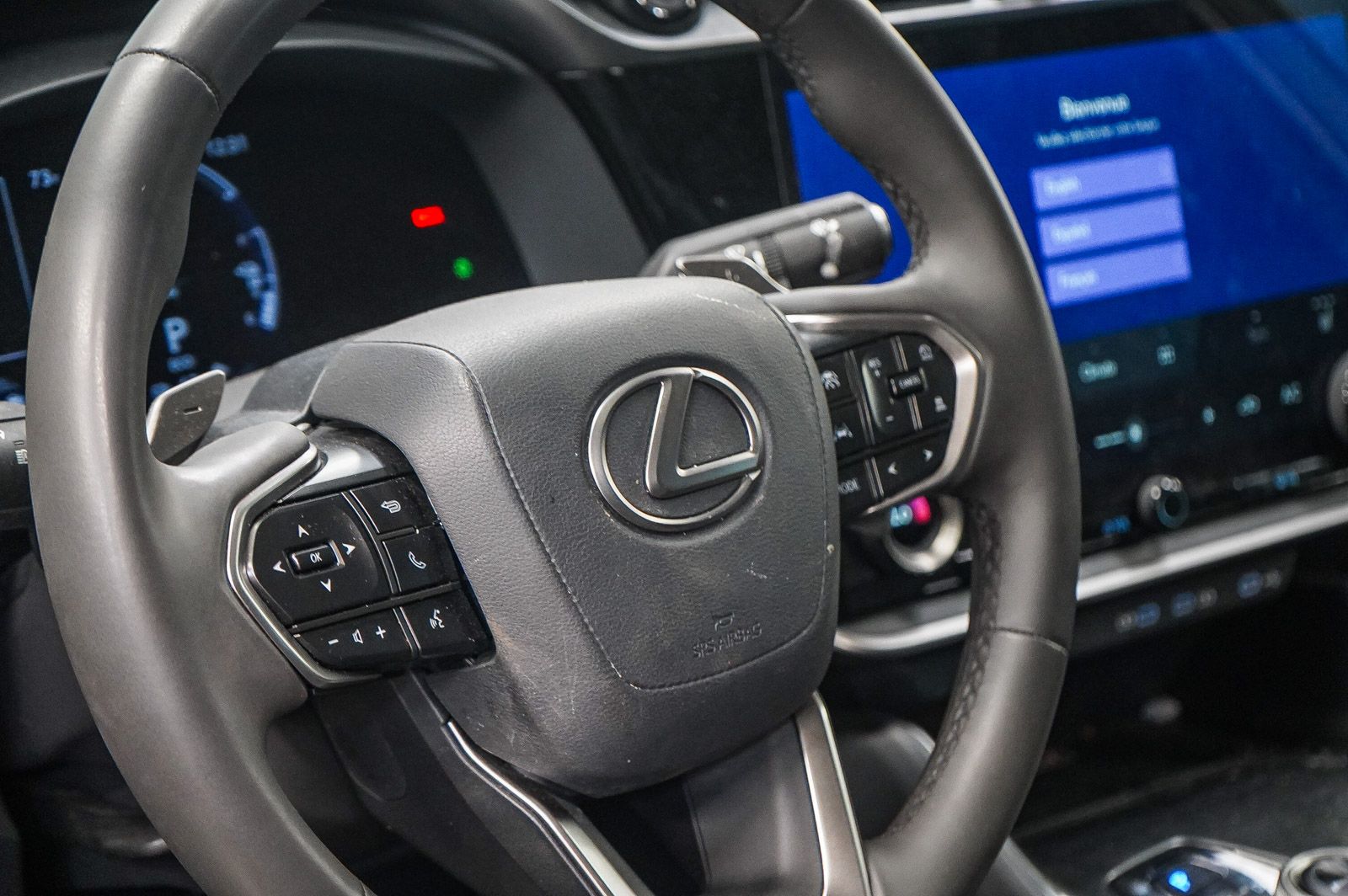 Thumbnail: 2025 Lexus RZ - 20