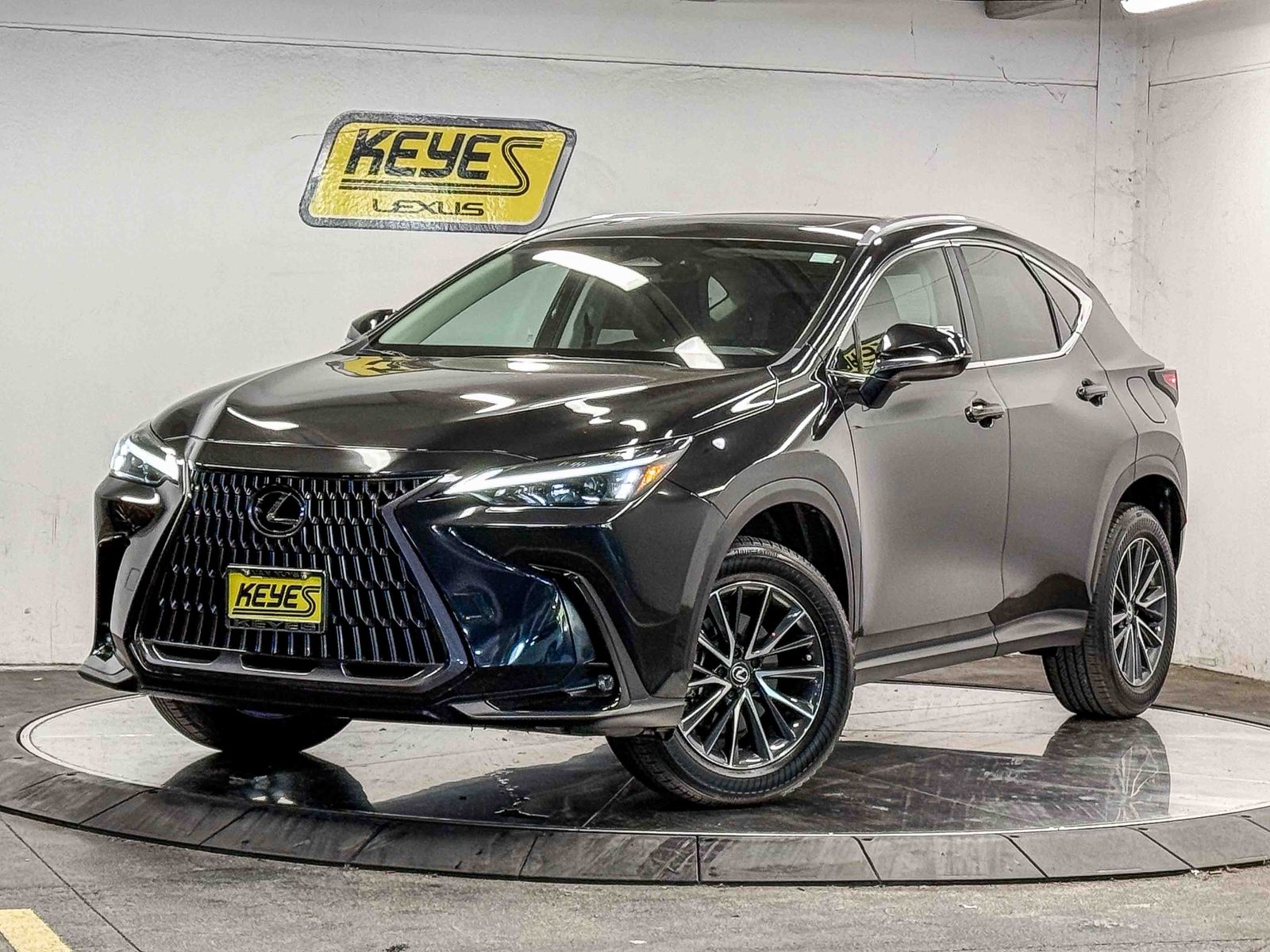 2024 Lexus NX