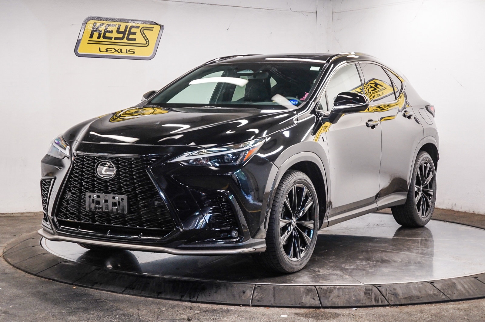 2024 Lexus NX