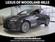  LEXUS RZ 450e
