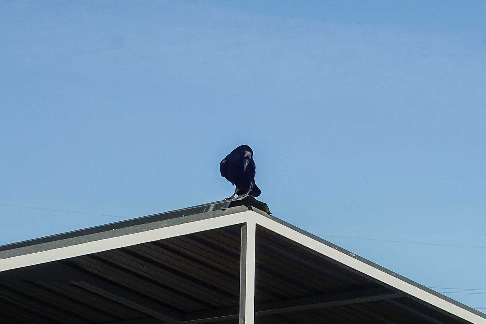 Thumbnail: 2020 Subaru Outback - 23