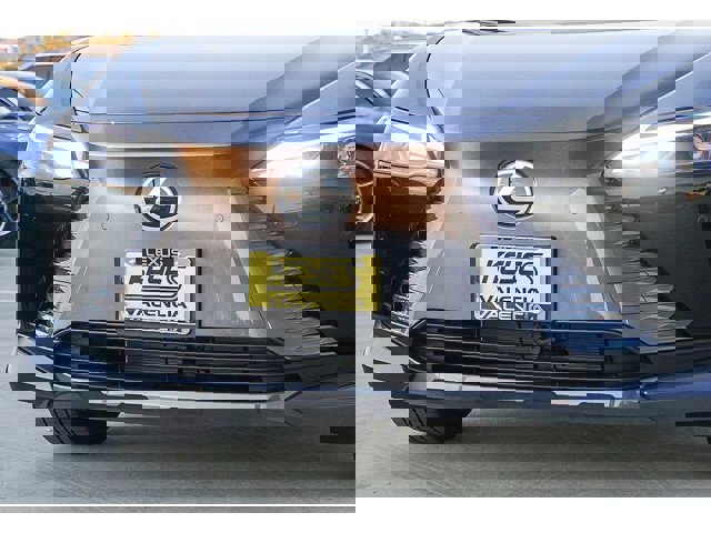 Thumbnail: 2026 Lexus RZ - 8