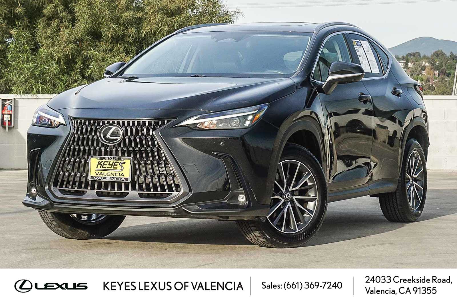 2024 Lexus NX Hybrid 350h's photo