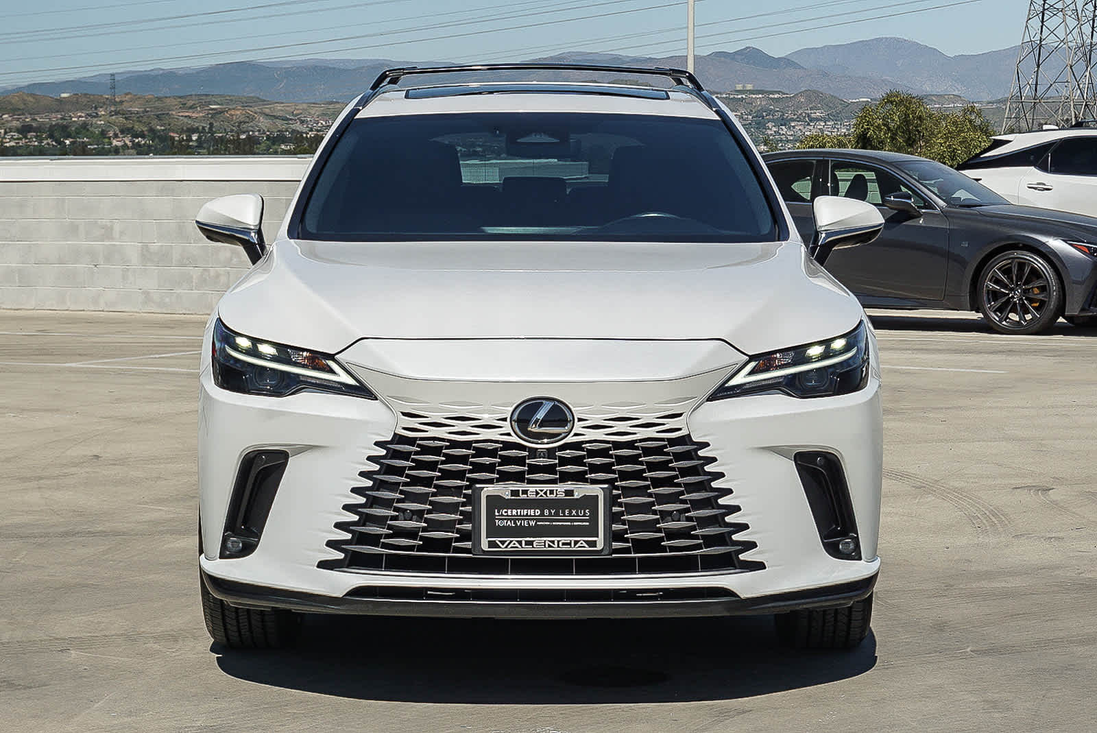 2023 LEXUS RX 350 Premium photo 6