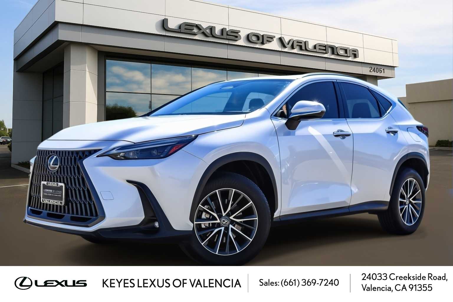 2024 Lexus NX